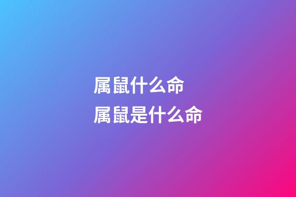 属鼠什么命 属鼠是什么命-第1张-观点-玄机派